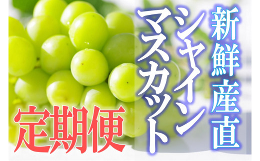 おすすめ 山梨県甲州市 ぶどうのふるさと納税を探す ふるさとチョイス