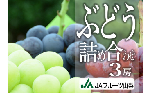 おすすめ 山梨県甲州市 ぶどうのふるさと納税を探す ふるさとチョイス