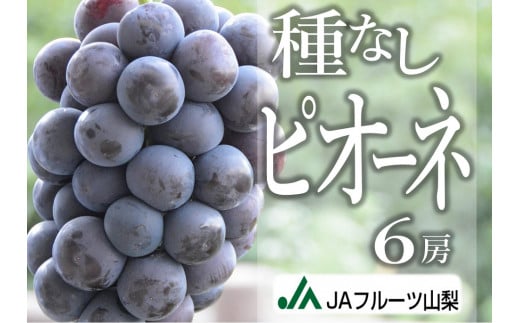 おすすめ 山梨県甲州市 ぶどうのふるさと納税を探す ふるさとチョイス