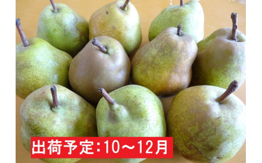 53 0715 年内 訳あり ラ フランス約5kg 山形洋梨 山形県大江町 ふるさと納税 ふるさとチョイス