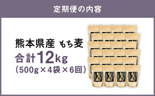 【定期便年6回】 熊本県産 もち麦 合計12kg