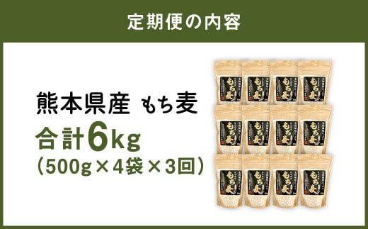 【定期便年3回】 熊本県産 もち麦 合計6kg
