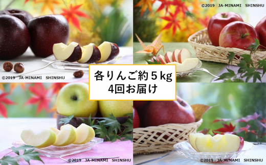 6-J26　スーパーりんごリレー（秋映・スイート・ゴールド・サンふじ各約5kg）