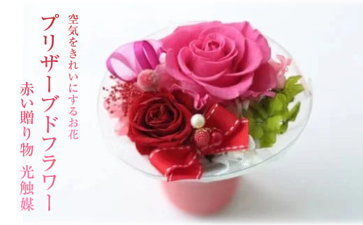 【空気をきれいにするお花】プリザーブドフラワー　赤い贈り物 　光触媒 378376 - 岩手県北上市