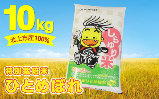 [特別栽培米]北上市産100% しらゆり米 1等米 ( ひとめぼれ 10kg )