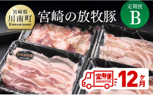 宮崎の放牧豚 定期便Ｂ　１２ヶ月 肉 豚 豚肉