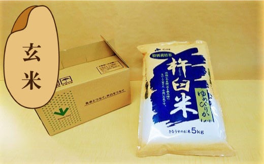 【玄米6ヶ月定期便】特別栽培「きなうす米」ゆめぴりか5kg×6回　K003 261241 - 北海道栗山町