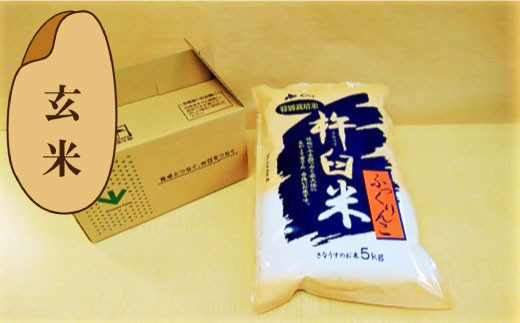 【玄米6ヶ月定期便】特別栽培「きなうす米」ふっくりんこ5kg×6回　K009 261247 - 北海道栗山町