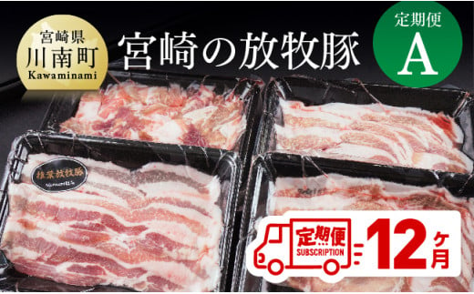 宮崎の放牧豚 定期便A １２ヶ月 肉 豚 豚肉