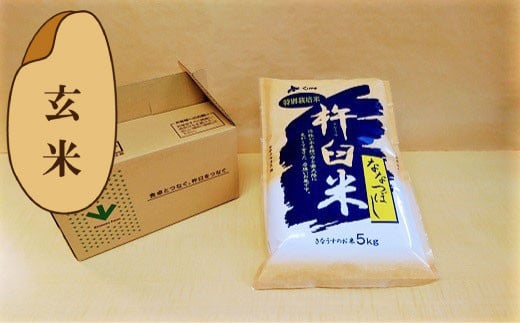 【玄米6ヶ月定期便】特別栽培「きなうす米」ななつぼし5kg×6回　K006 261244 - 北海道栗山町