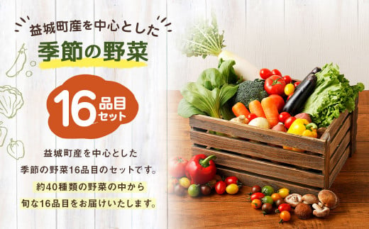 季節の野菜 16品目 セット 野菜 詰め合わせ おまかせ 冷蔵 国産