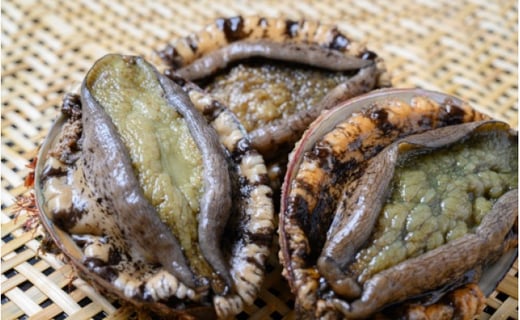 京丹後市 魚政 やわらか蒸しアワビ おすすめセット M箱 京丹後産天然黒アワビ使用 京都府京丹後市 ふるさと納税 ふるさとチョイス