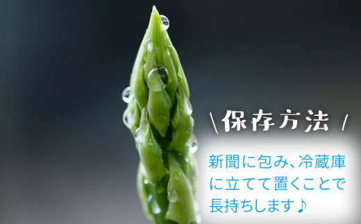 夏芽アスパラガス1.5kg(MLサイズ混合) アスパラガス アスパラ 野菜 新鮮 夏野菜 あすぱらがす あすぱら