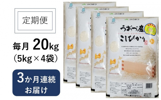 20kg（5kg×4袋）×3ヶ月定期便　富山県うおづ産米コシヒカリ 白米　富山米 [№5617-0135]