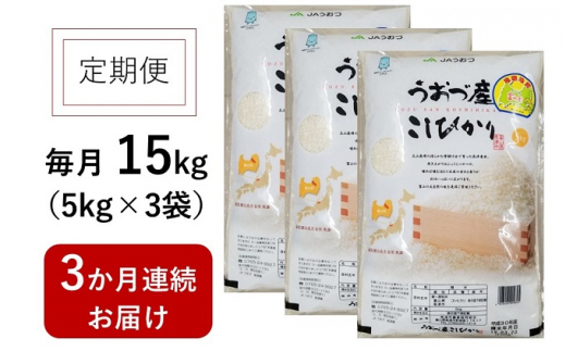 20kg（5kg×4袋）×3ヶ月定期便 富山県うおづ産米コシヒカリ 白米 富山米