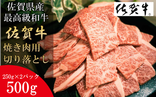 Dy051 数量限定 佐賀牛 焼肉用切り落とし ５００ｇ 黒毛和牛 和牛 牛肉 肉 佐賀県みやき町 ふるさと納税 ふるさとチョイス