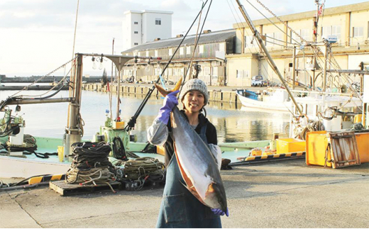 【自然に優しい定置網漁ブリ使用】天然 寒の汐ぶり2切 富山 魚津 ハマオカ海の幸 [№5617-0082]