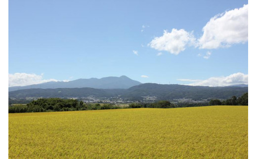 八重原米 精米【10kg】(5kg×2袋) - 長野県東御市｜ふるさとチョイス