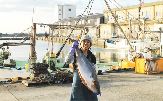 富山の干物専門店が選ぶ、お酒のおとも詰め合わせ 富山 魚津 ハマオカ海の幸 [№5617-0084]