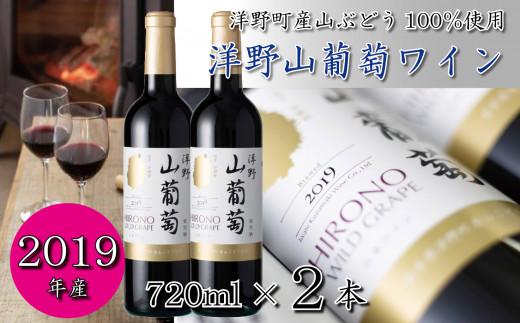 【2019年産】洋野山葡萄ワイン（赤・ミディアム 720ml）2本セット