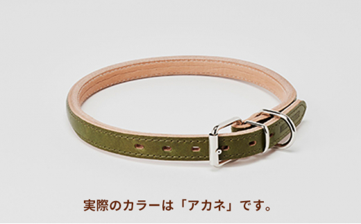 [№5258-7046]0098good collar 7号［犬 猫 首輪］アカネ 754880 - 兵庫県姫路市