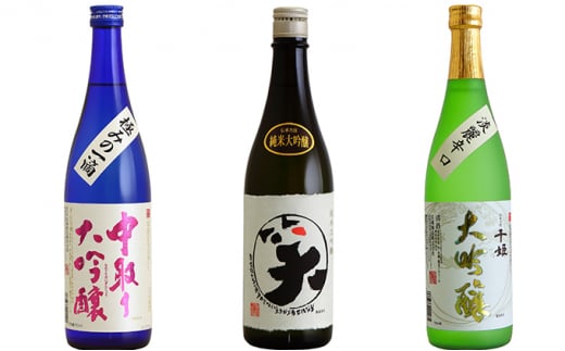 A23-48 鳥取県の美味しい酒 日本酒 ２本セット - 鳥取県｜ふるさと