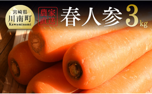 【期間限定】 ※令和６年産※ 農家直送！春人参３kg （15本～20本入）【 2024年発送 野菜 にんじん ニンジン 九州産 宮崎県産 川南町産  新鮮 産地直送 】