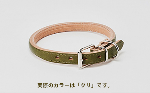 [№5258-7039]0097good collar 5号［犬 猫 首輪］クリ 754873 - 兵庫県姫路市