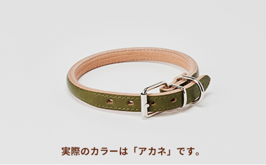 [№5258-7041]0097good collar 5号［犬 猫 首輪］アカネ 754875 - 兵庫県姫路市