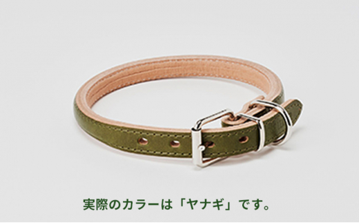 [№5258-7040]0097good collar 5号［犬 猫 首輪］ヤナギ 754874 - 兵庫県姫路市