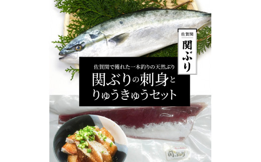 E 関ぶりの刺身とりゅうきゅうセット 大分県大分市 ふるさと納税 ふるさとチョイス