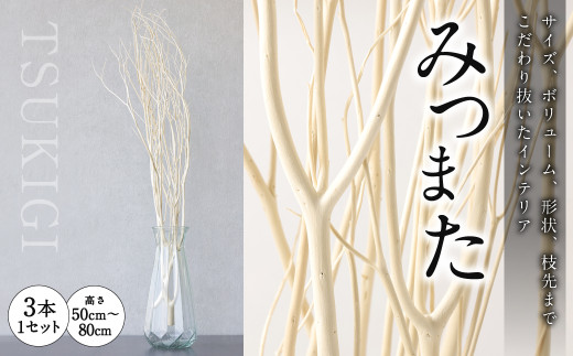 TSUKIGI みつまた 50cm~80cm 白枝 インテリア オブジェ