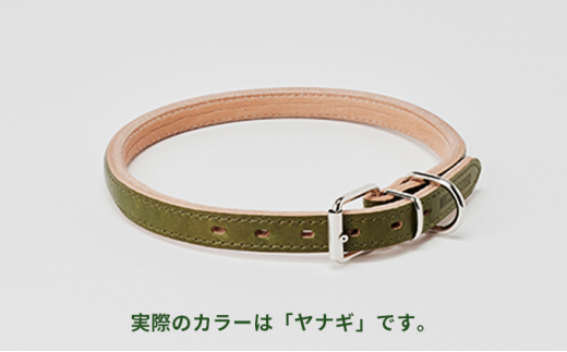 0098good collar 7号[犬 猫 首輪]ヤナギ
