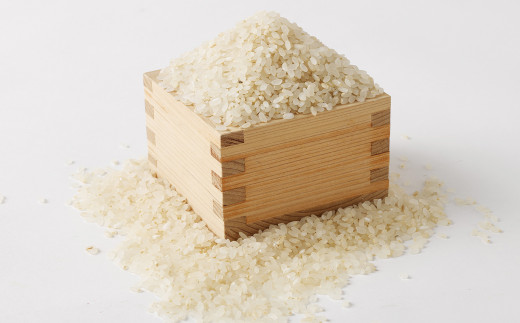 津留いちご園のお米 7分づき  農薬・化学肥料不使用（栽培期間中） 5kg ヒノヒカリ