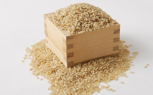 津留いちご園のお米 玄米 農薬・化学肥料不使用（栽培期間中） 5kg ヒノヒカリ