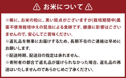 津留いちご園のお米 7分づき  農薬・化学肥料不使用（栽培期間中） 5kg ヒノヒカリ