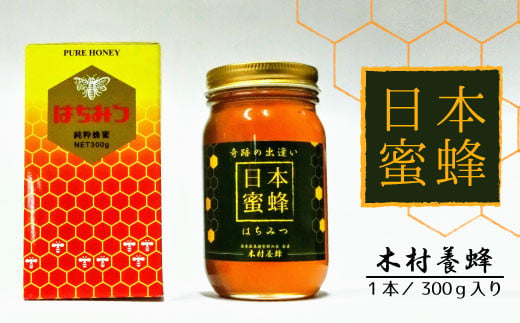 BP001【木村養蜂】日本蜂蜜
