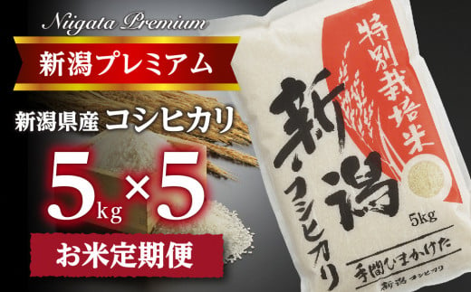 【令和6年産】『定期便』新潟プレミアム 特別栽培米 コシヒカリ 白米5kg × 5か月 FC050019 373236 - 新潟県燕市