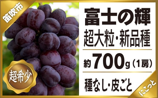 ＜2024年先行予約＞富士の輝1房約700g★ 097-009 ｜ぶどう 葡萄 笛吹市 ブラック ブラックシャインマスカット 希少 希少品種 富士の輝 700g にこっと 新鮮 こだわり 皮ごと 種なし 種無し 高級 大粒 大粒品種 ジューシー シャイン マスカット 産地 先行予約 期間限定 国産 山梨県産 山梨県笛吹市 1房 富士 輝 高糖度 果肉 肉厚 甘い 黒色 旬 果物 フルーツ｜ 240552 - 山梨県笛吹市