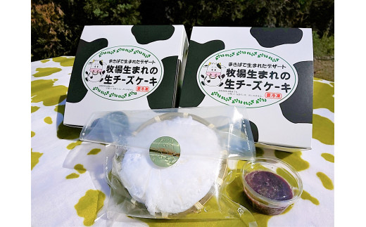 『しおのえふじかわ牧場』生チーズケーキセット 785529 - 香川県香川県庁