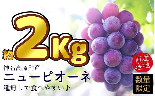 広島県神石高原町のふるさと納税で選べるお礼の品一覧 ふるさとチョイス