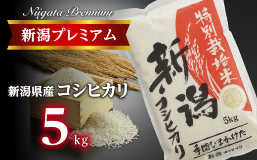 [令和6年産]新潟プレミアム 特別栽培米 コシヒカリ 白米5kg