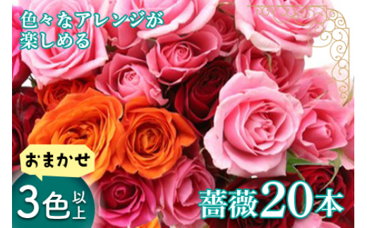 旬の薔薇おまかせ3色以上本 名産地山形 F2y 1643 山形県 ふるさと納税 ふるさとチョイス