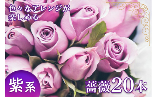 旬の 薔薇本 薔薇名産地山形 紫系 F2y 1642 山形県 ふるさと納税 ふるさとチョイス