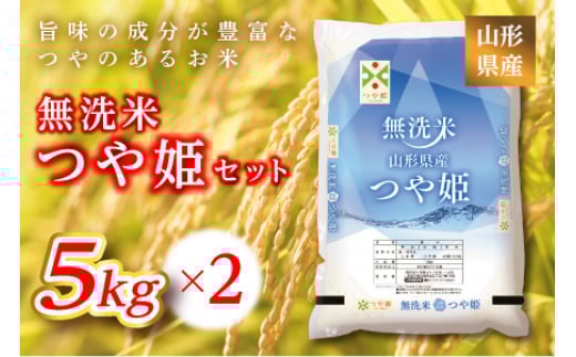 《ふるさとの極み》山形県産 つや姫無洗米セット 10kg(5kg×2)  米 お米 コメ ごはん ご飯 食品 山形県 F2Y-1181 262011 - 山形県山形県庁