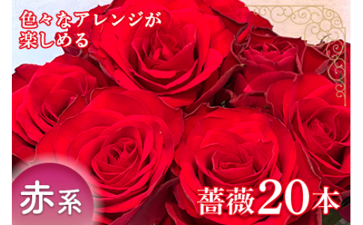 旬の 薔薇本 薔薇名産地山形 赤系 F2y 1638 山形県 ふるさと納税 ふるさとチョイス