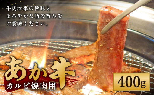 あか牛 カルビ 焼肉用 400g 牛肉 冷凍 Bbq 赤牛 バラ 褐毛和種 熊本県多良木町 ふるさと納税 ふるさとチョイス