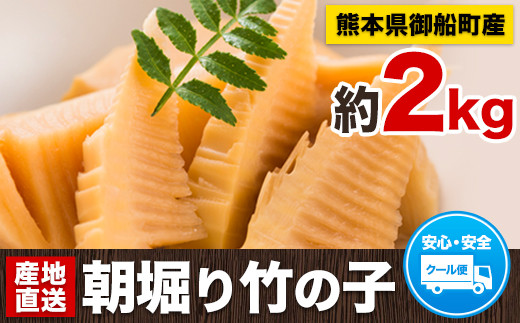 熊本県御船町のふるさと納税 お礼の品ランキング【ふるさとチョイス】