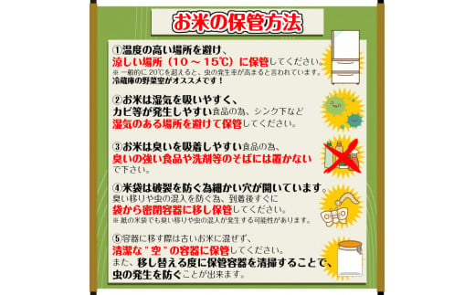 山形県酒田市のふるさと納税 SA2225　9月下旬配送／令和6年産【精米】特別栽培米 雪若丸　10kg(5kg×2袋)「農家直送」 KA