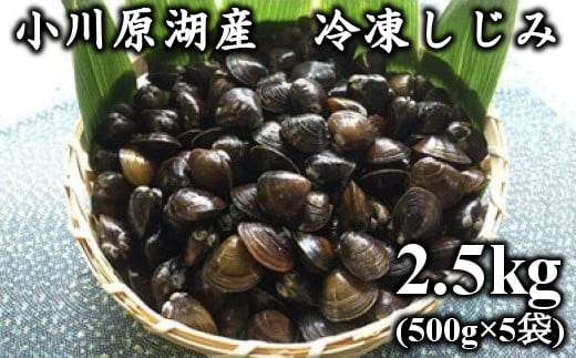 青森県東北町の 食べるしじみ 小川原湖産大和しじみ ふるさと納税 ふるさとチョイス